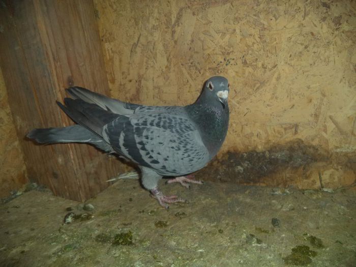 DSC01762