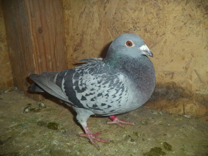 DSC01763