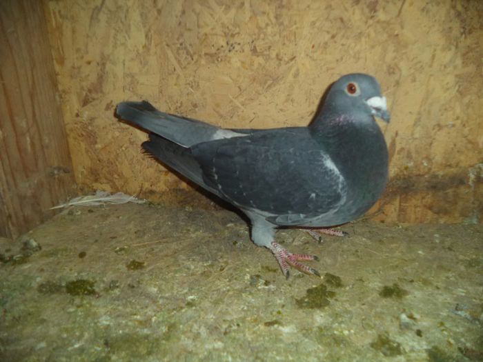 DSC01768