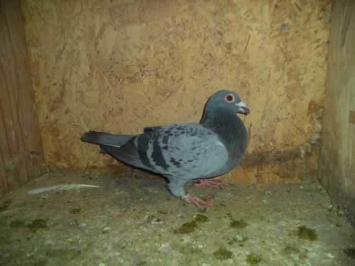 DSC01780