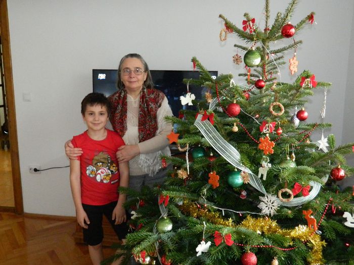 DSCN0419 - DECEMBRIE 2013