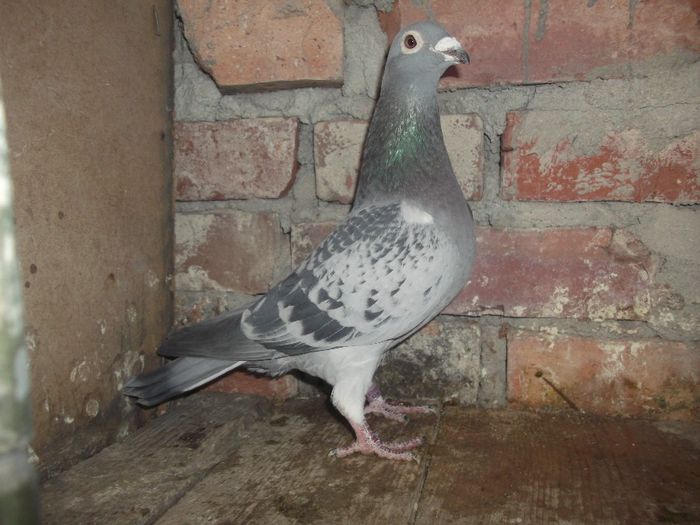 Picture 117 - Amintiri frumoase !!!