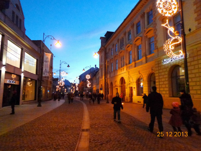 DSC00352 - 2013 Sibiu