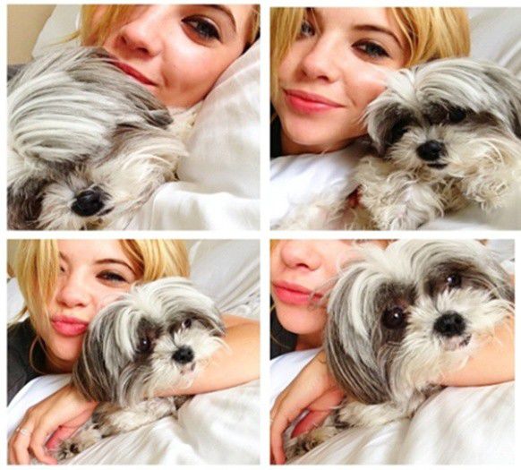 ┊^^ 12 29 13 - new year is coming