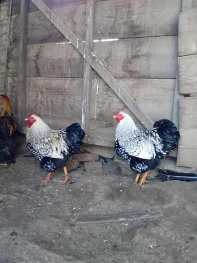 IMG_20131229_144415727