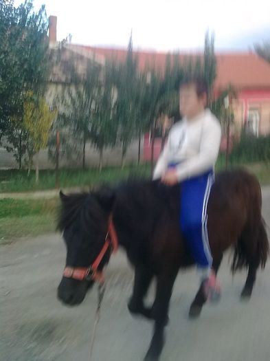Vali0293 - Copie - poneii