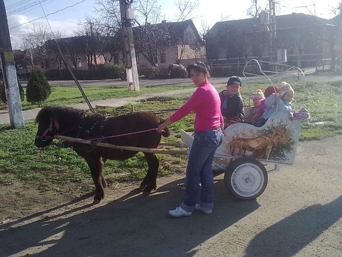 Vali0516
