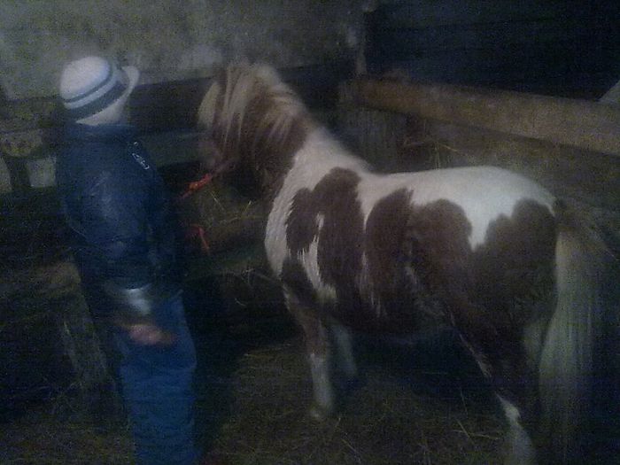 Vali0733