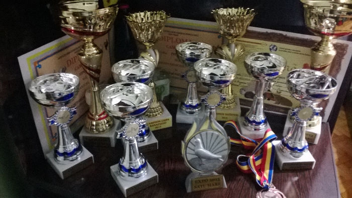 REZULTATE in expozitii pe anul 2013; 9 cupe Campion judetean 2013 --
1 cupa Campion National 2013 --
1 cupa Campion Cupa Banatului 2013 --
1 Medalie participare --
1 Placheta parcipare
