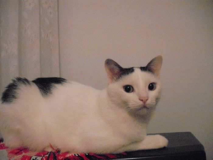 DSCF1760 - FELIX