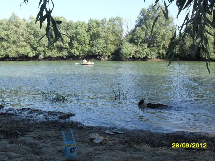 Hai mai repede la mal ca mam ingrijorat de nu mai pot - Prietenii mei cei mai buni