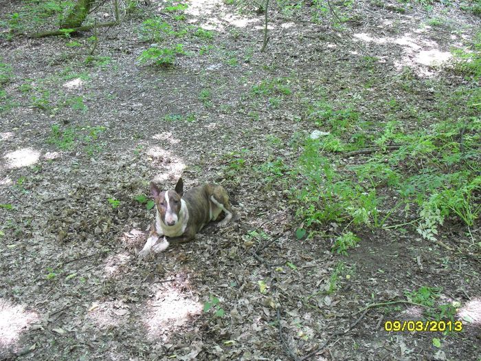 Mam saturat de mers eu nu ma mai misc de aici