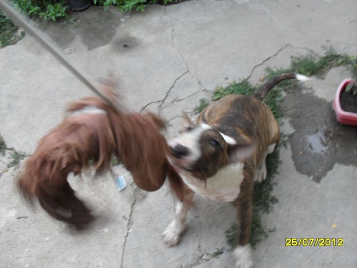 Acum va arat cat sunt de agresiv