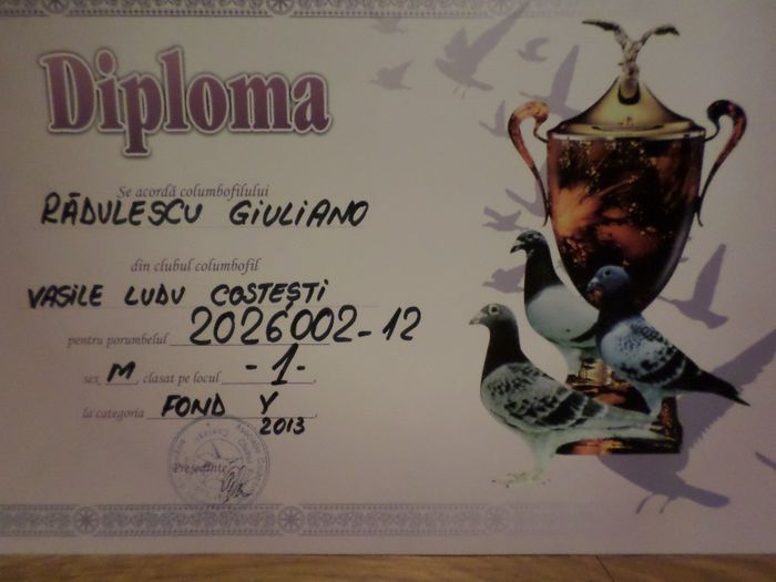 005 - TROFEE SI DIPLOME 2013