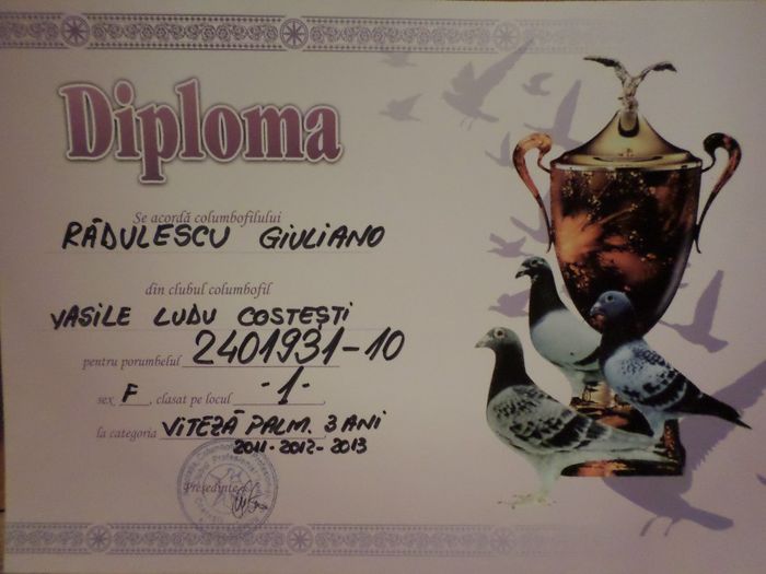 011 - TROFEE SI DIPLOME 2013