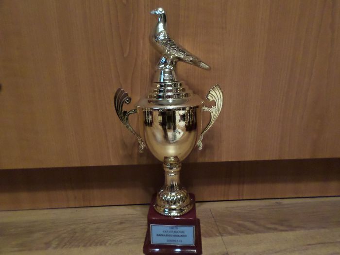 038 - TROFEE SI DIPLOME 2013