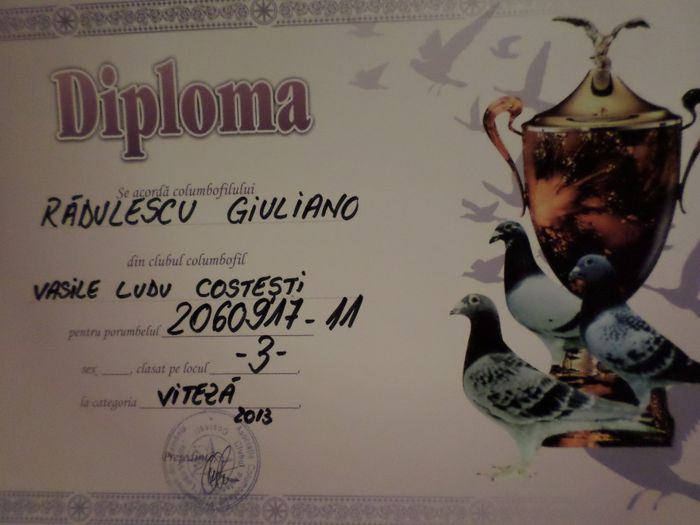 039 - TROFEE SI DIPLOME 2013