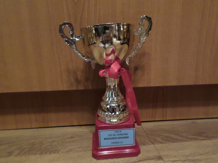 041 - TROFEE SI DIPLOME 2013