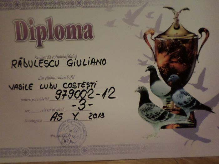 042 - TROFEE SI DIPLOME 2013