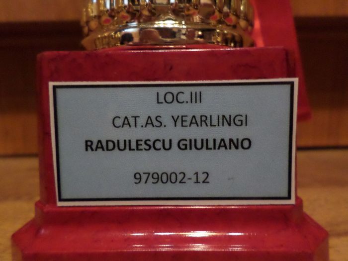 043 - TROFEE SI DIPLOME 2013