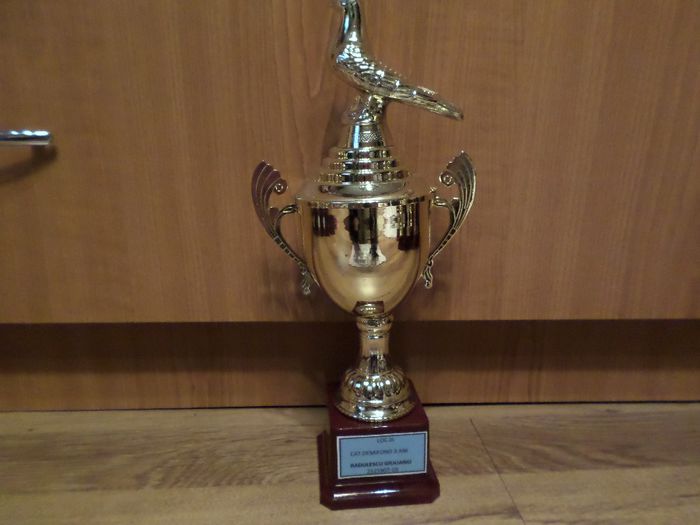 044 - TROFEE SI DIPLOME 2013