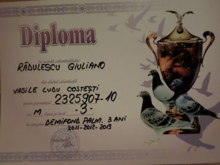 045 - TROFEE SI DIPLOME 2013