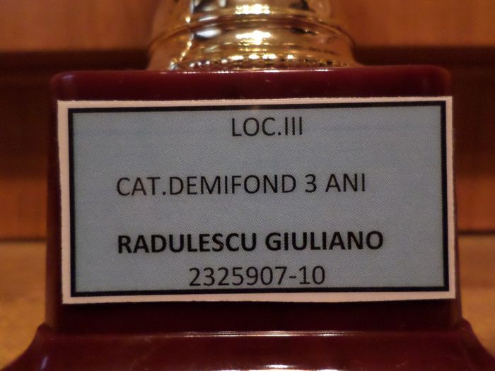 046 - TROFEE SI DIPLOME 2013