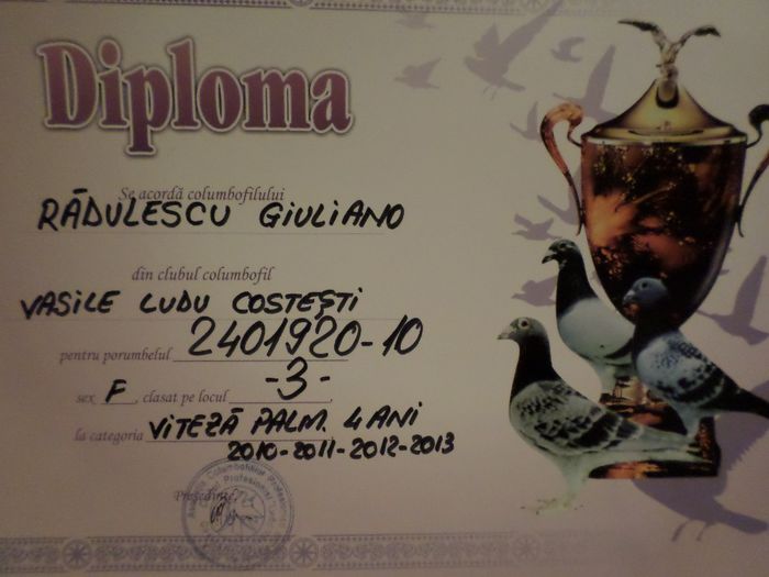 048 - TROFEE SI DIPLOME 2013