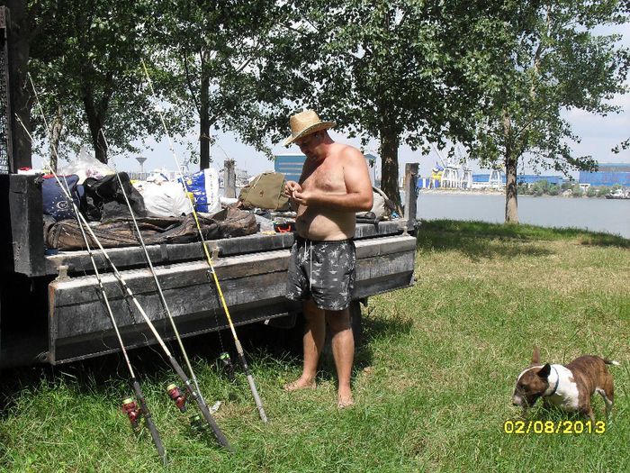 Pregatirea momelilor