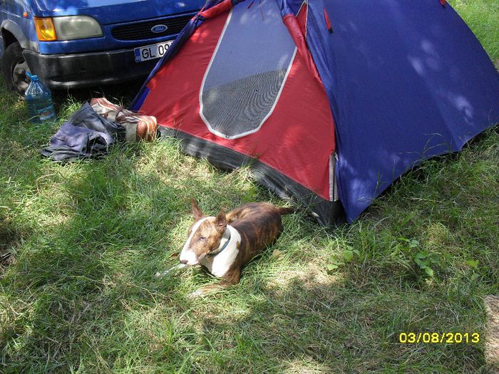 O-fi no-fi cineva in cort eu trebuie sal pazesc