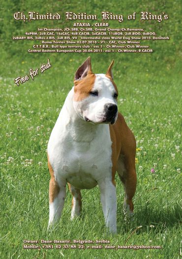 Tata - CAINI - AMSTAFF