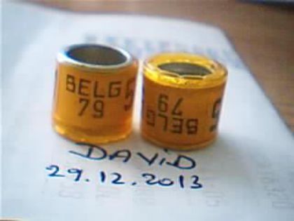 Belgia-1979 - Inele Colectie-dubluri