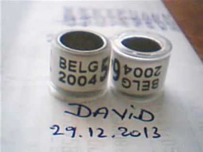 Belgia-2004