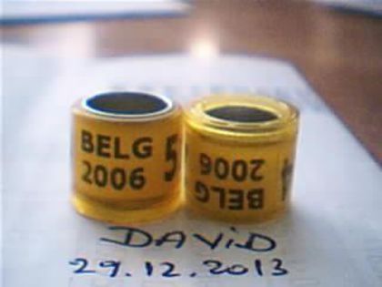 Belgia-2006