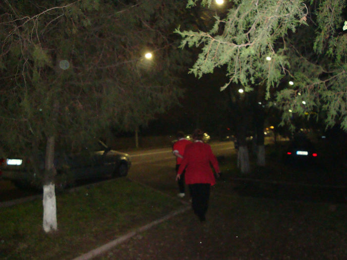 DSC03952