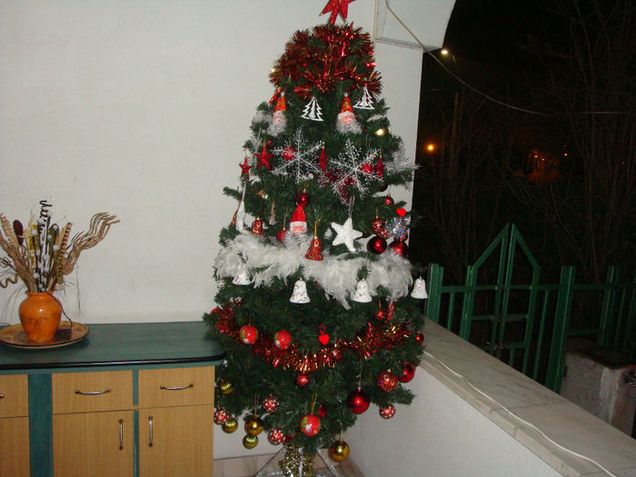 DSC03956