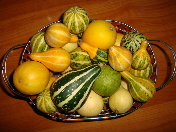DSC03957