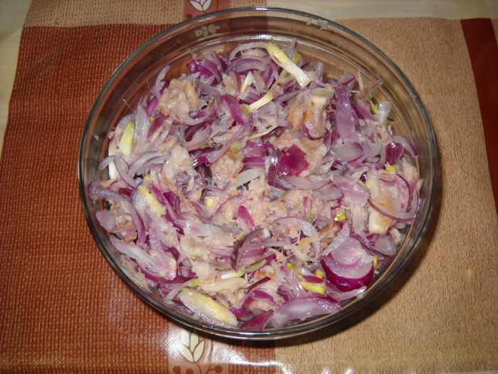 Salata de ceapa cu hering afumat