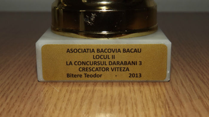 DSCF7458 - PREMII 2013