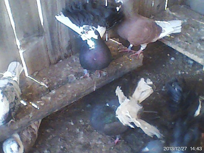 1496275_641634225900879_1701830757_o