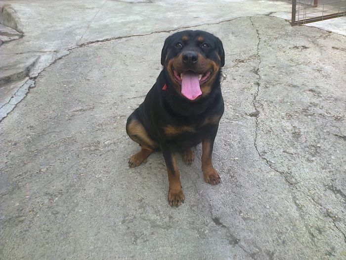 HERRA