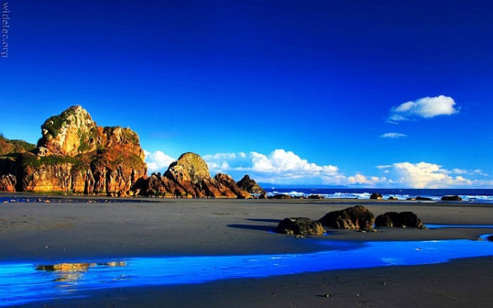 Rose a ramas cu Taylor ,povestindu-i celei mai bune prietene ale ei ,Kim despre intalnirile sale