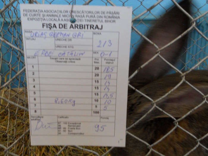 Picture 026 - 1Expo Tineretul BH 28-29DEC2013