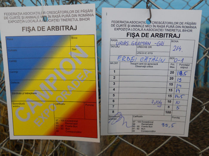 Picture 027 - 1Expo Tineretul BH 28-29DEC2013