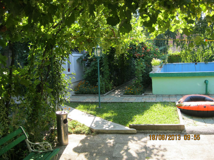 IMG_6382 - Gradina mea de vis de la SCHELA
