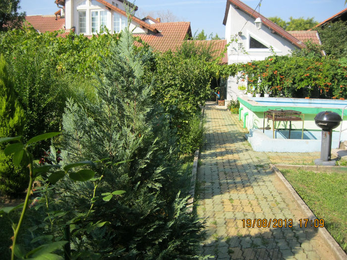 IMG_6406_1 - Gradina mea de vis de la SCHELA