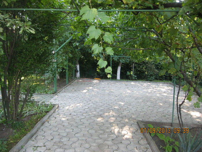 IMG_6725 - Gradina mea de vis de la SCHELA