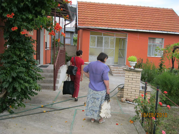 IMG_0566 - Casa noastra de la Vajuga-Serbia