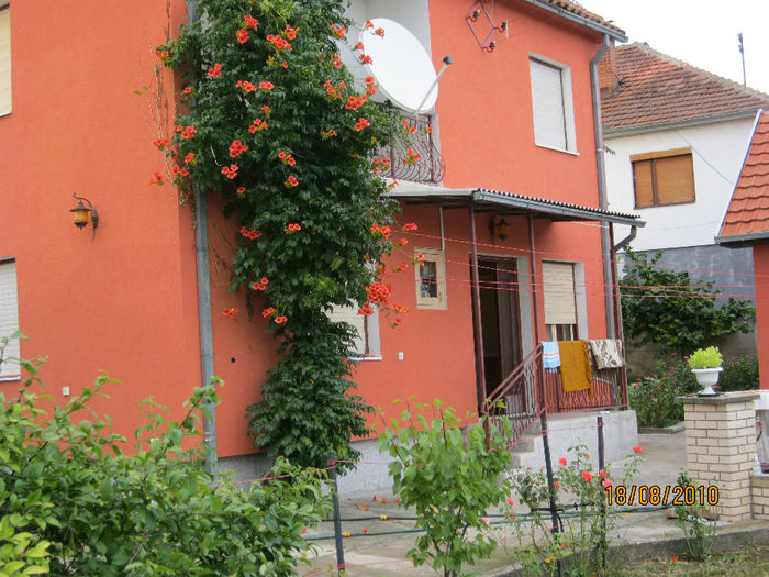 IMG_0576 - Casa noastra de la Vajuga-Serbia