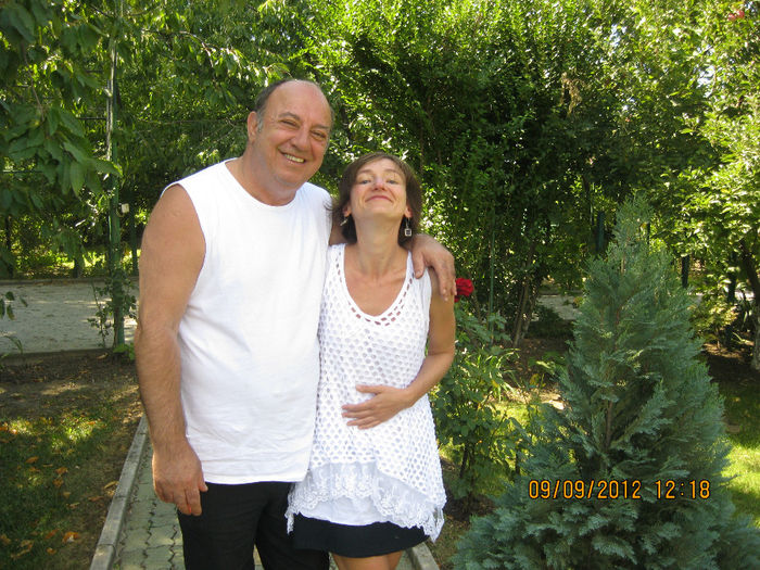 au venit olandezii 124